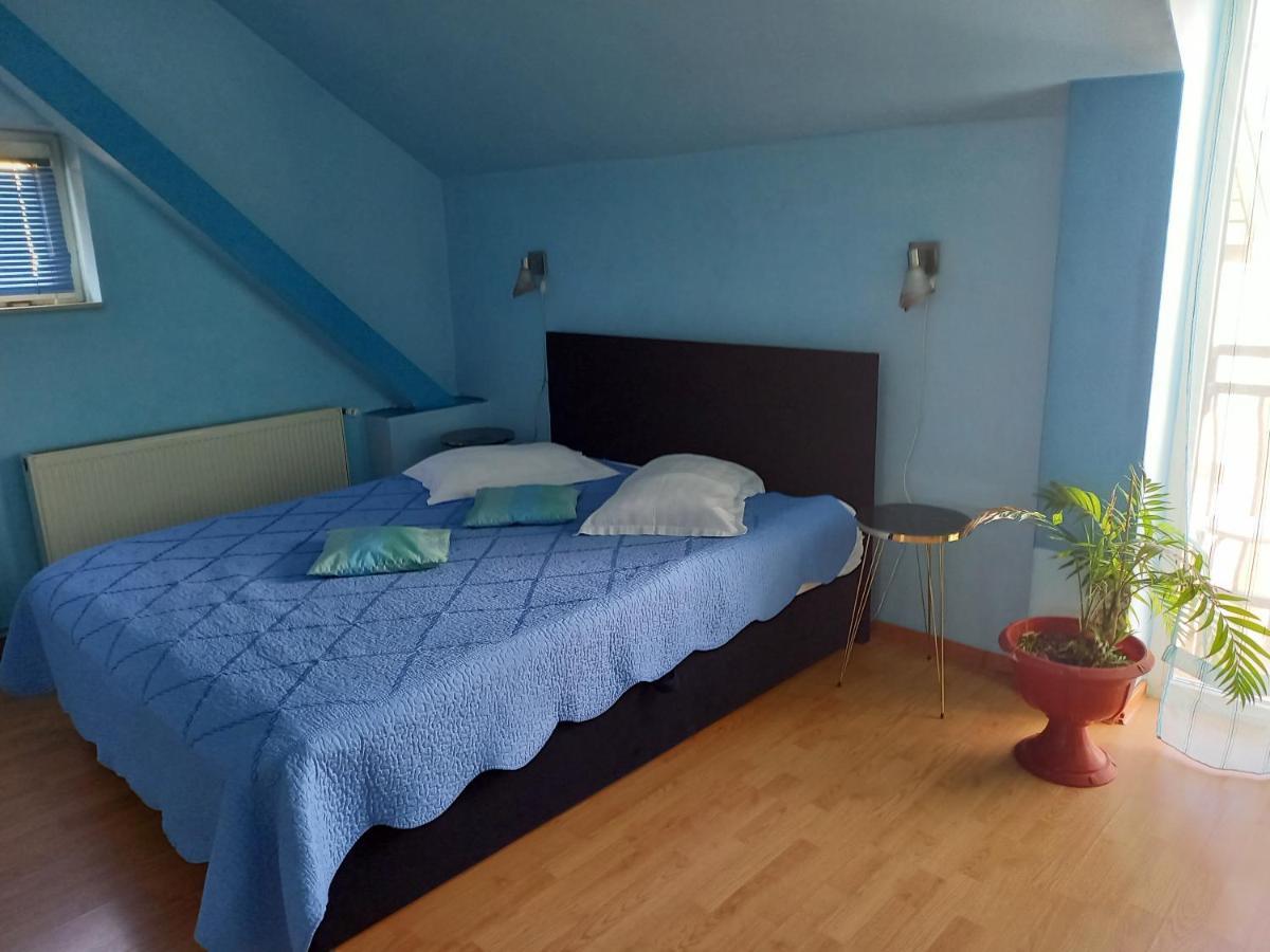 Pensiunea Vila Dana Cluj-Napoca Buitenkant foto