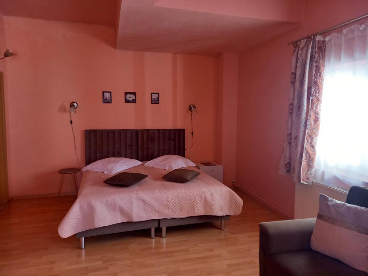 Pensiunea Vila Dana Cluj-Napoca Buitenkant foto